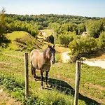 Tatil Evi Near Bemelerberg Reserve Bemelen