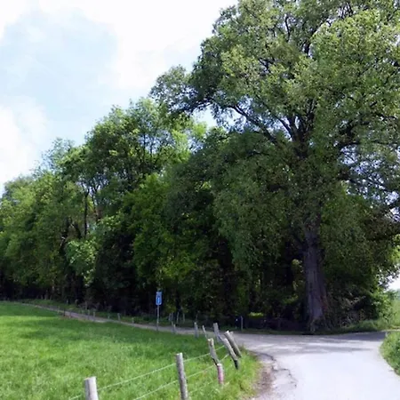 בית נופש Near Bemelerberg Reserve Bemelen