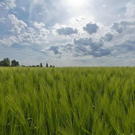 Near Bemelerberg Reserve בית נופש *