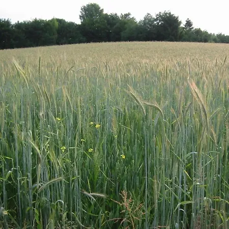 Near Bemelerberg Reserve בית נופש