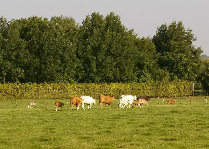 Near Bemelerberg Reserve