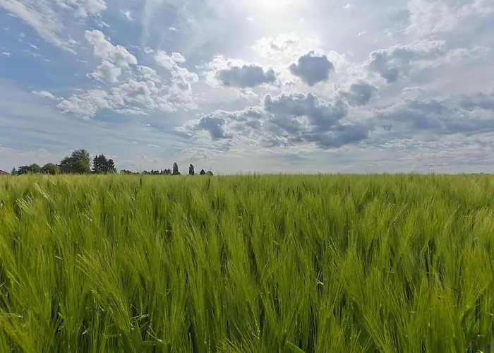 Near Bemelerberg Reserve Ferienhaus *
