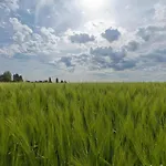 Near Bemelerberg Reserve Сasa de vacaciones *