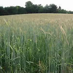 Near Bemelerberg Reserve Сasa de vacaciones