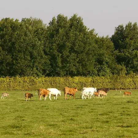Near Bemelerberg Reserve