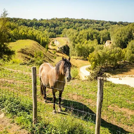 Casa de Férias Near Bemelerberg Reserve Bemelen