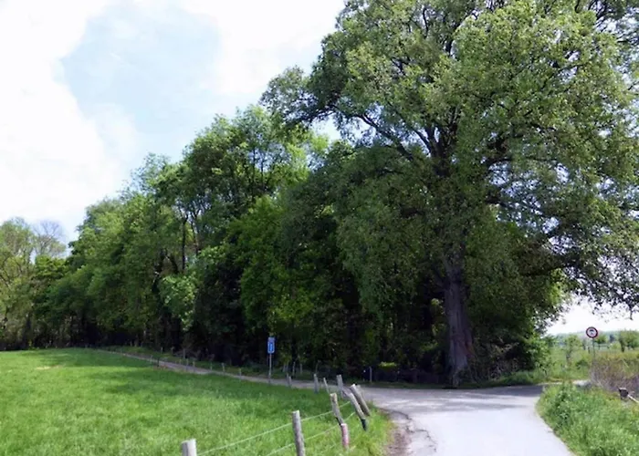 Holiday home Near Bemelerberg Reserve Bemelen