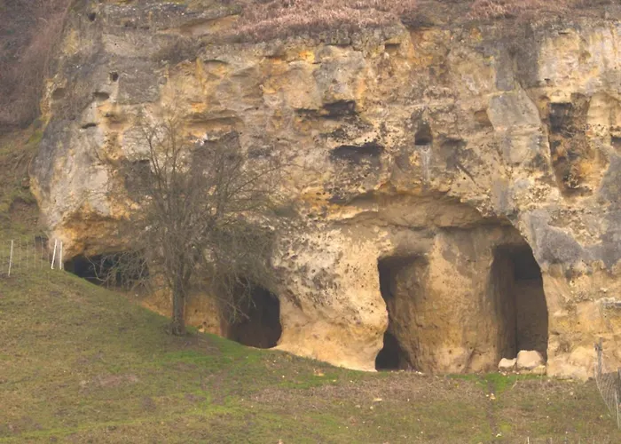 Holiday home Near Bemelerberg Reserve